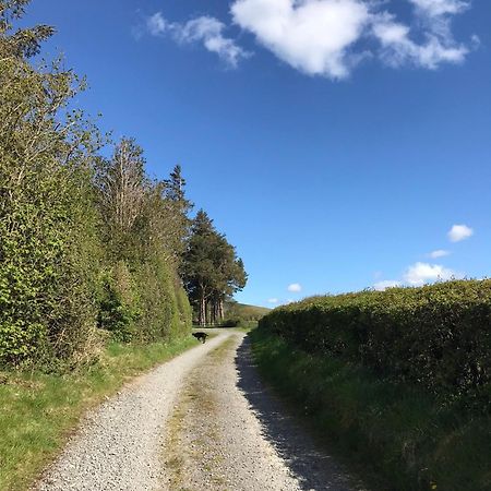 Chic Cottage Near Elan Valley And Builth Wells Llanwrthwl Exterior foto