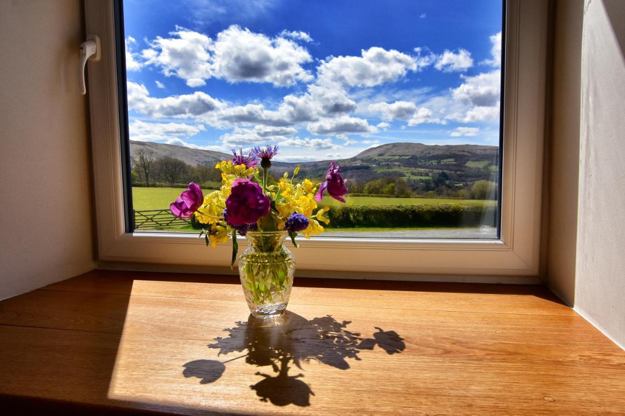 Chic Cottage Near Elan Valley And Builth Wells Llanwrthwl Exterior foto